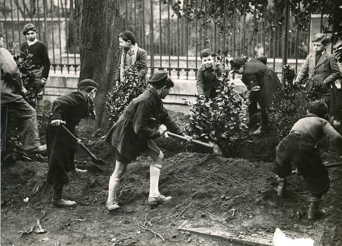 Archive Photograph