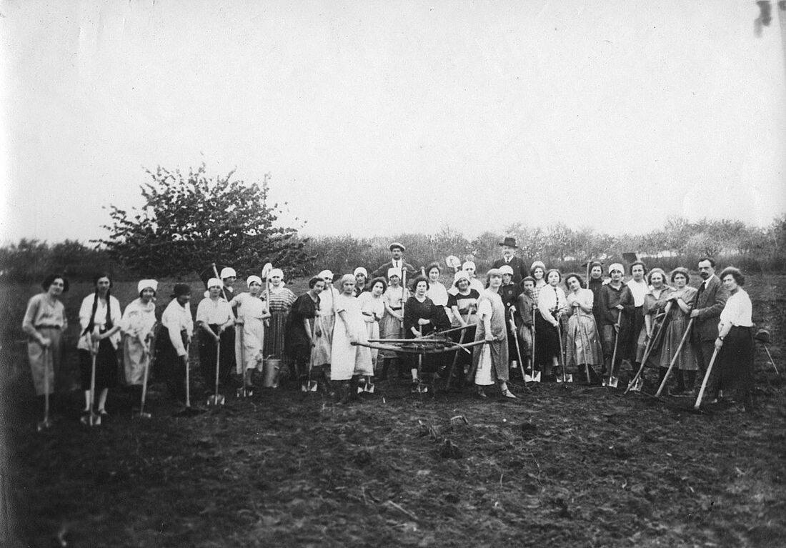 Archive Photograph