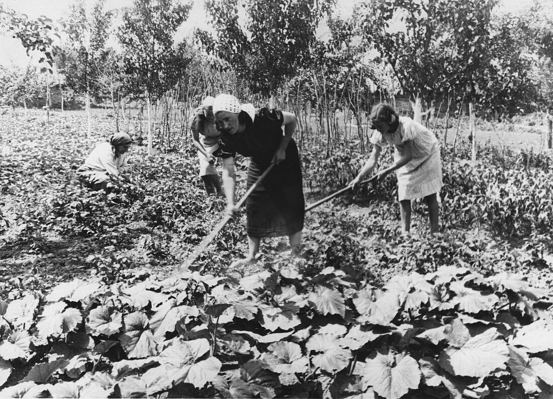 Archive Photograph