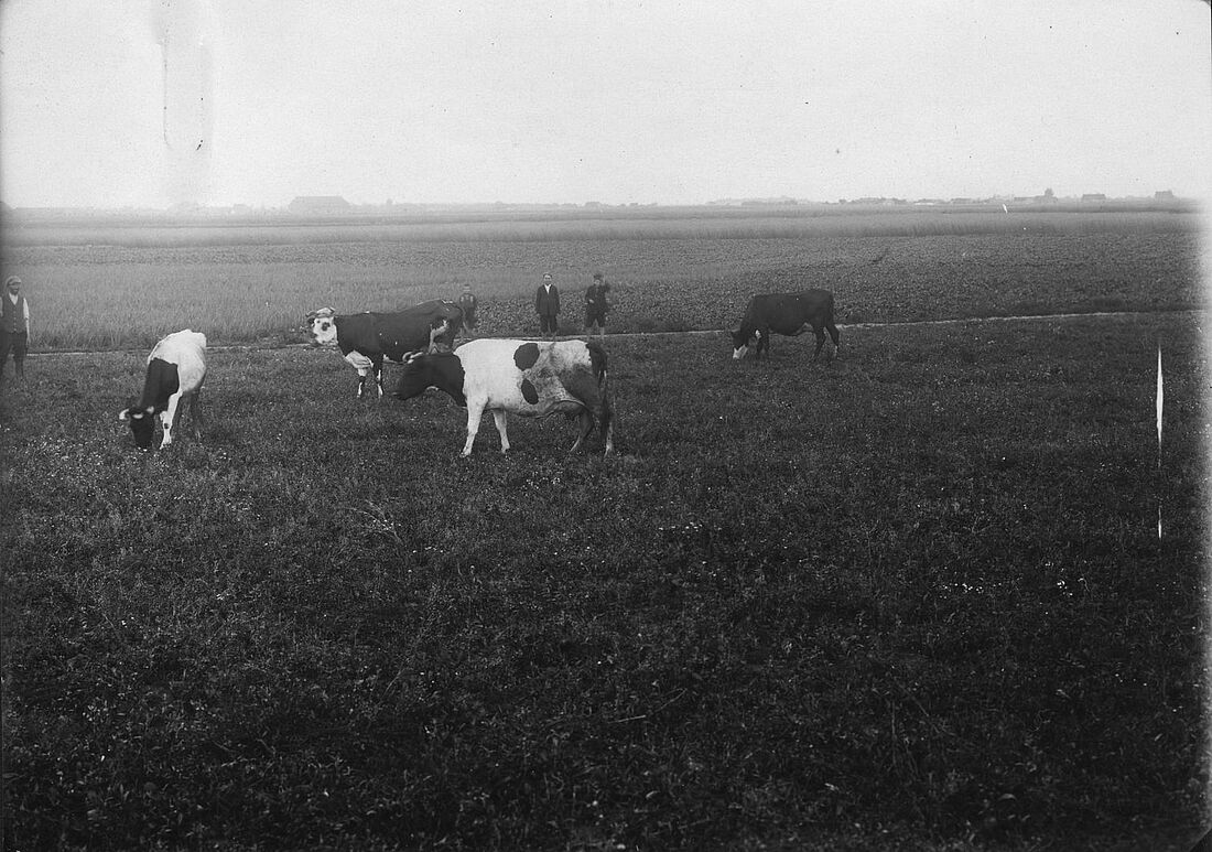 Archive Photograph