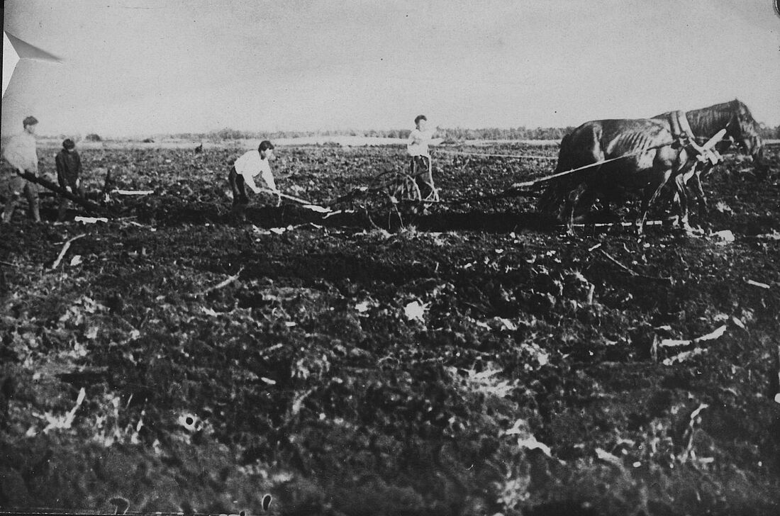 Archive Photograph