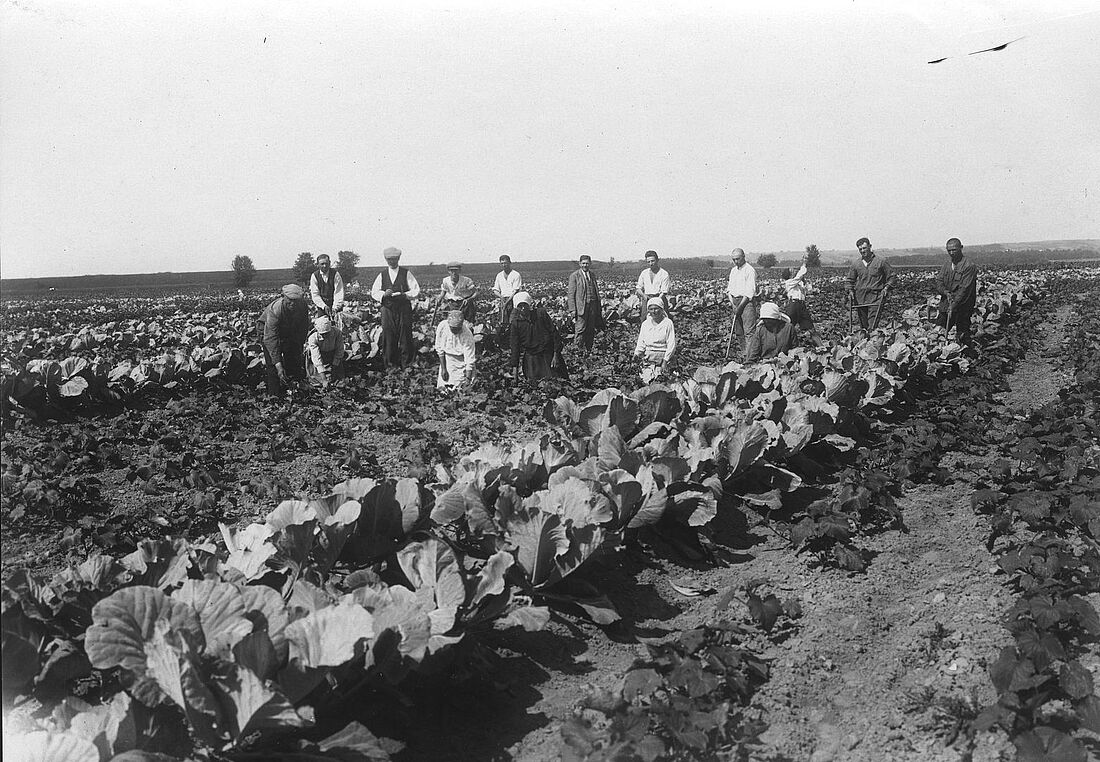 Archive Photograph