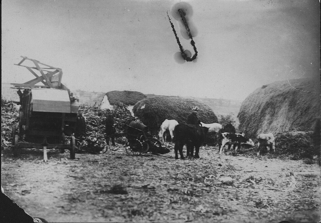 Archive Photograph