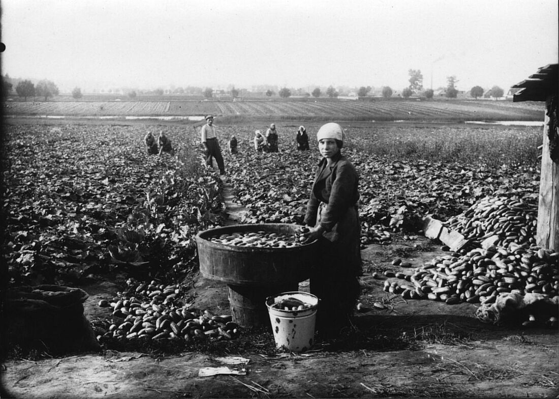 Archive Photograph