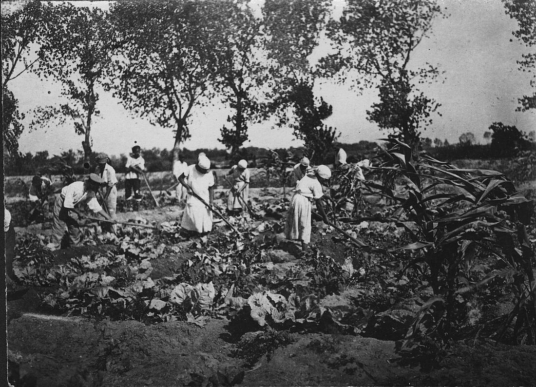 Archive Photograph