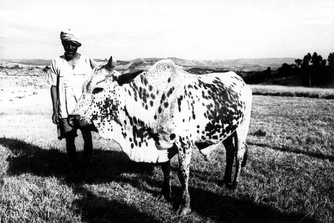 Archive Photograph