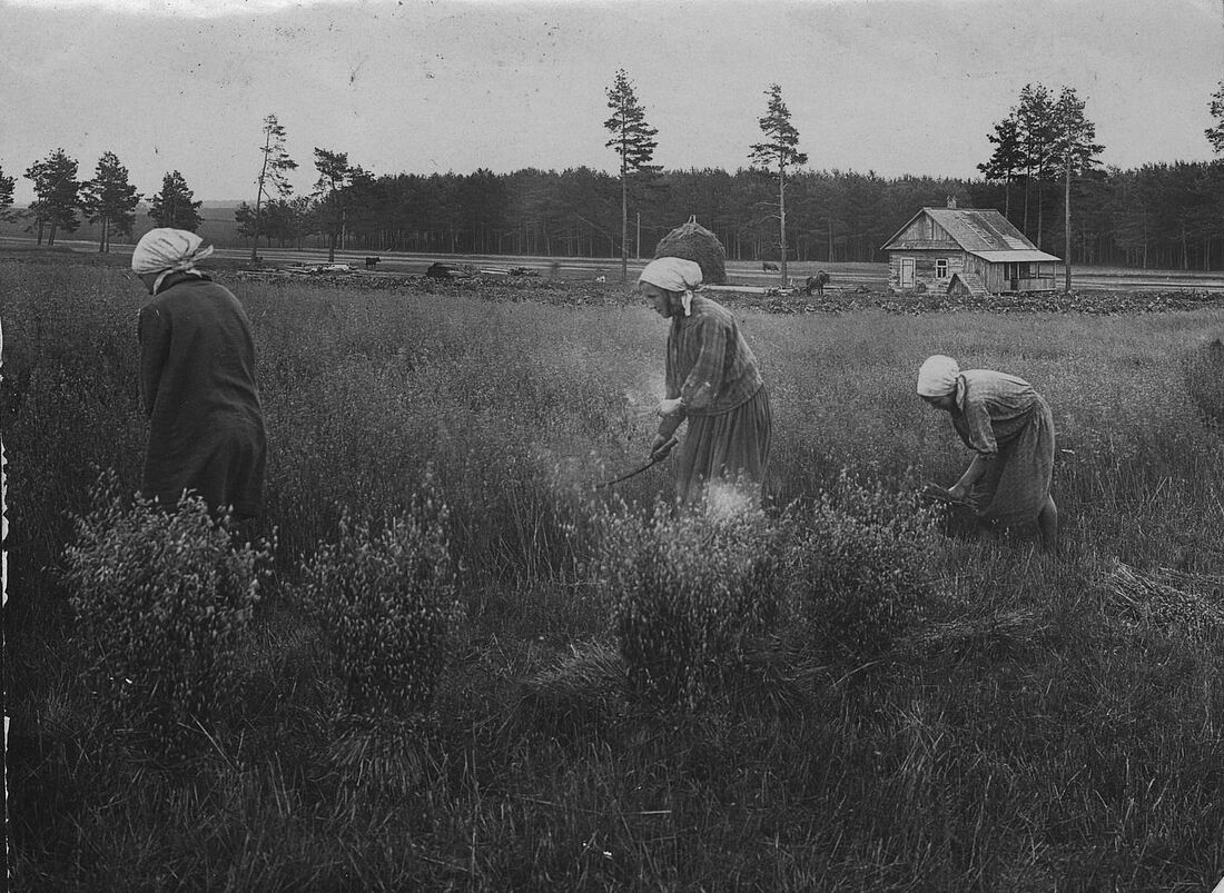 Archive Photograph