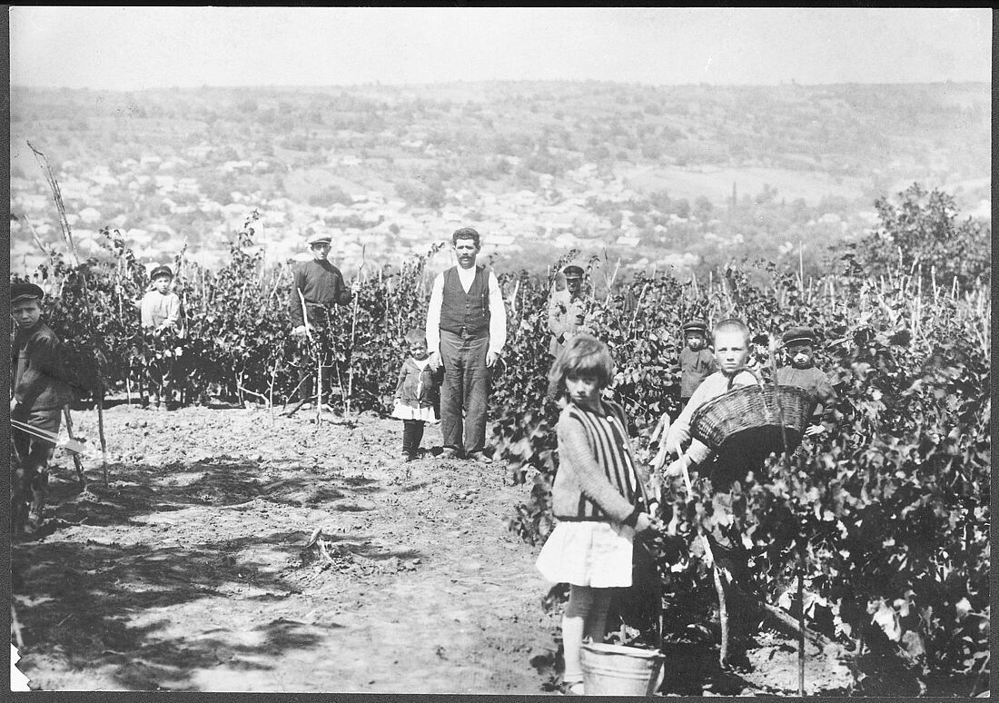 Archive Photograph