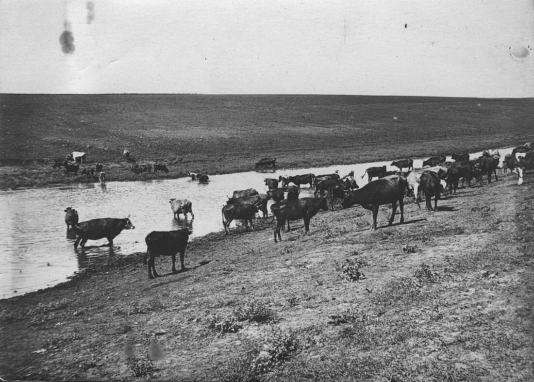 Archive Photograph