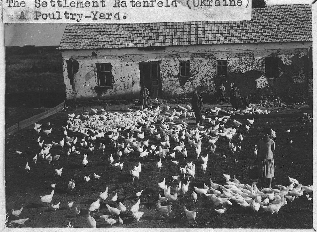 Archive Photograph