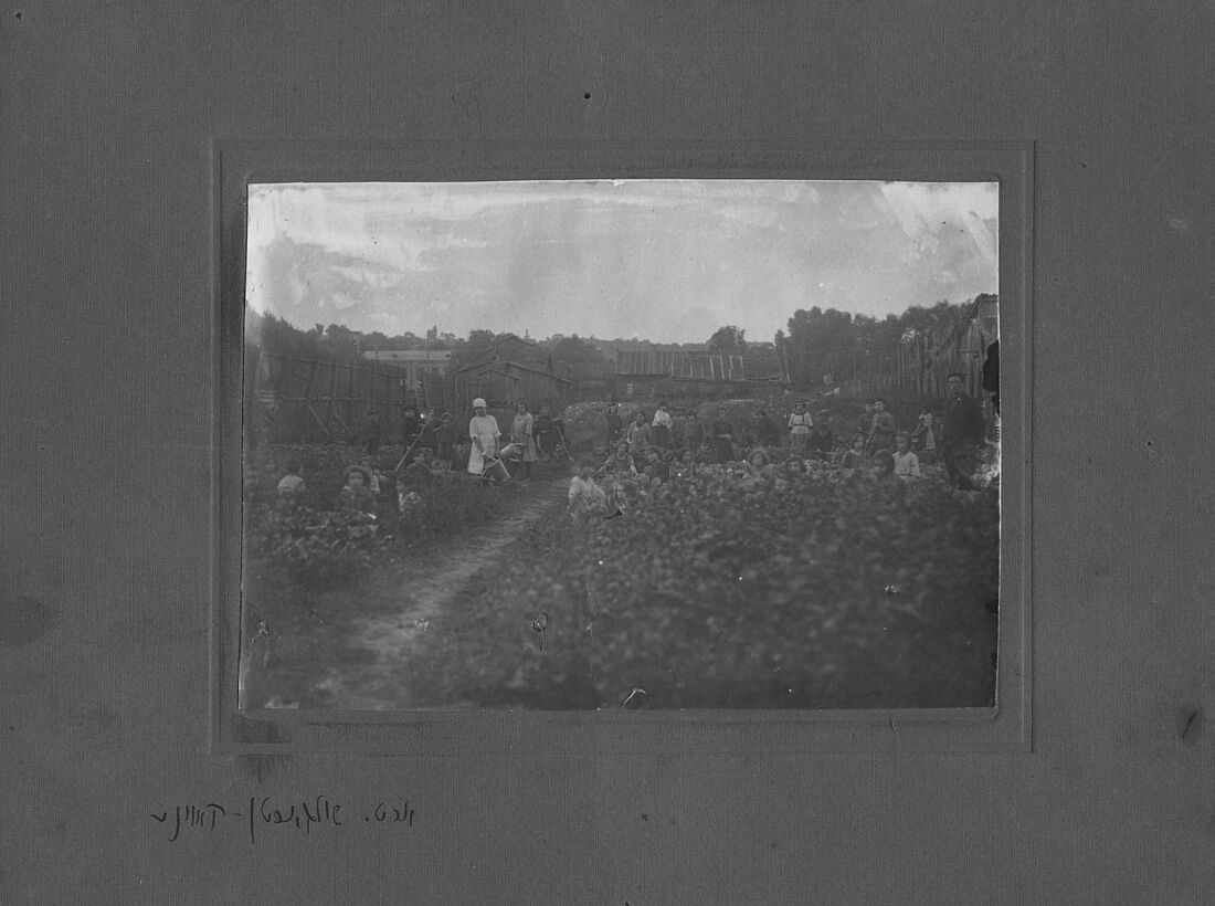 Archive Photograph