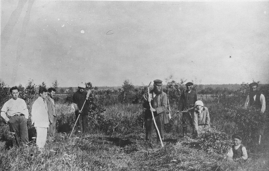 Archive Photograph