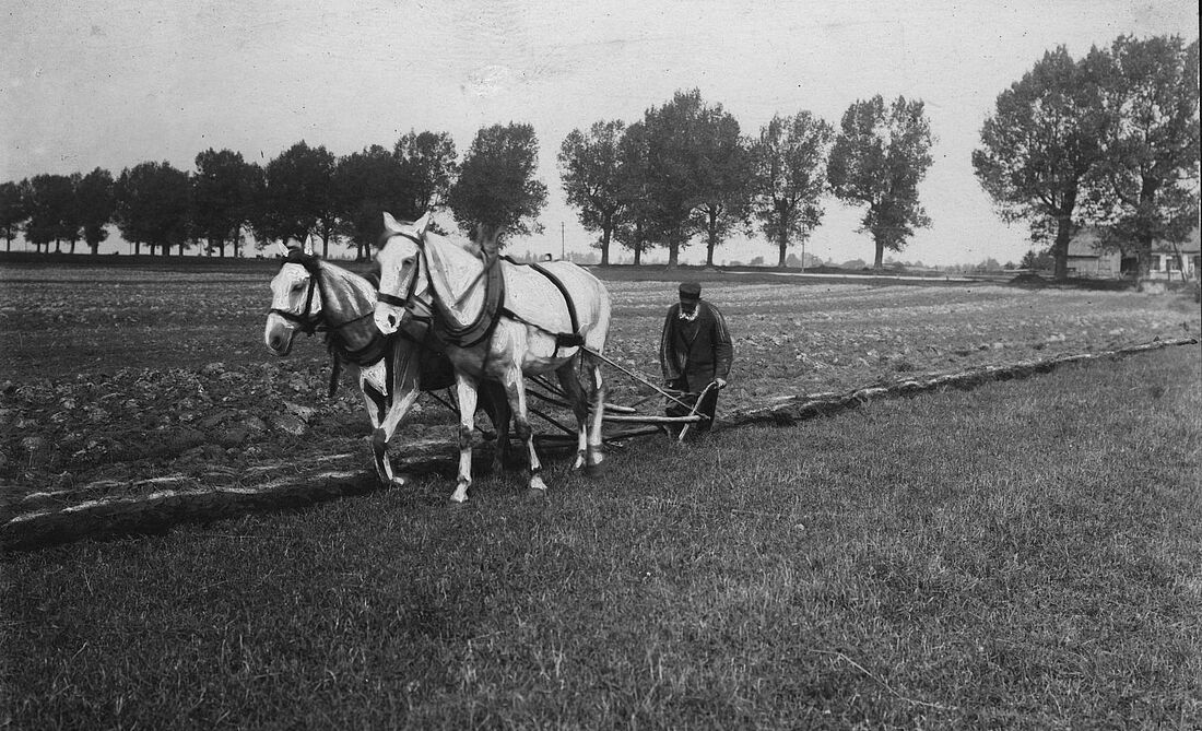 Archive Photograph