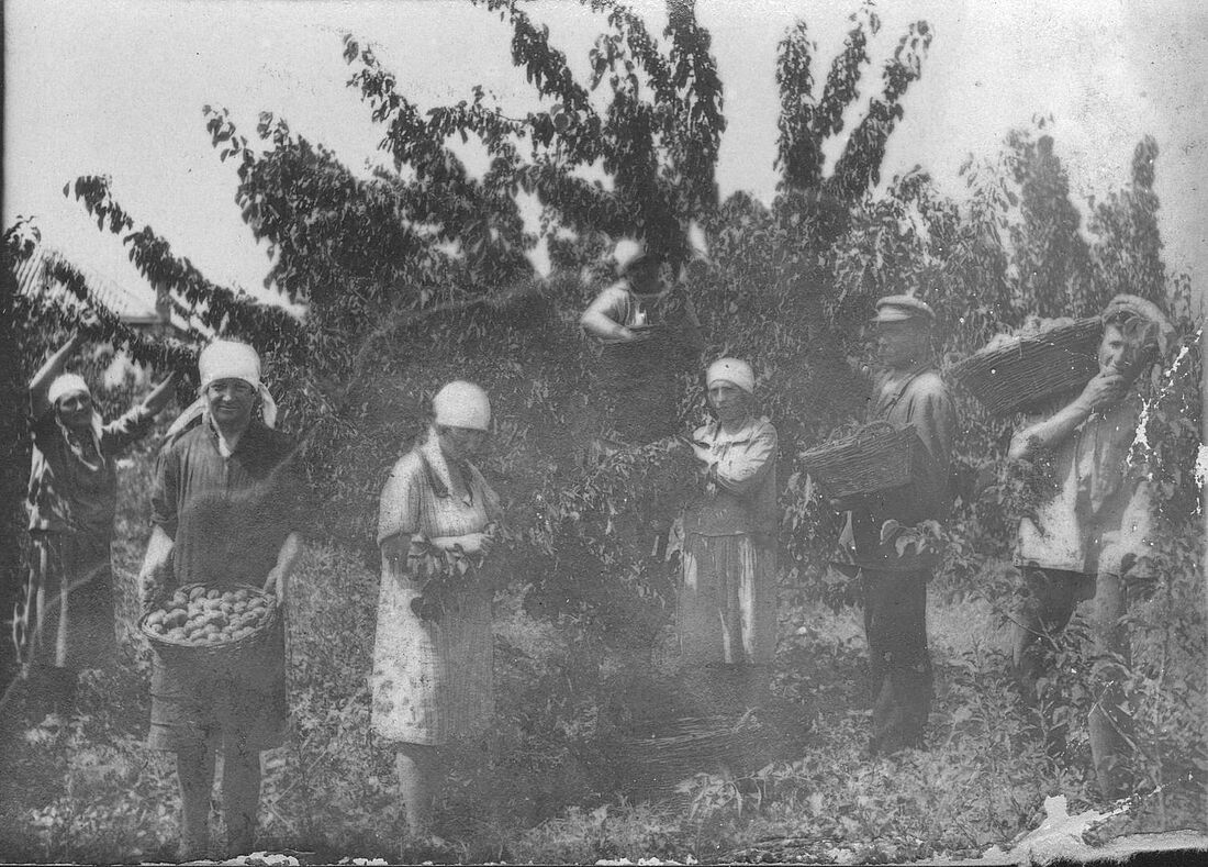 Archive Photograph
