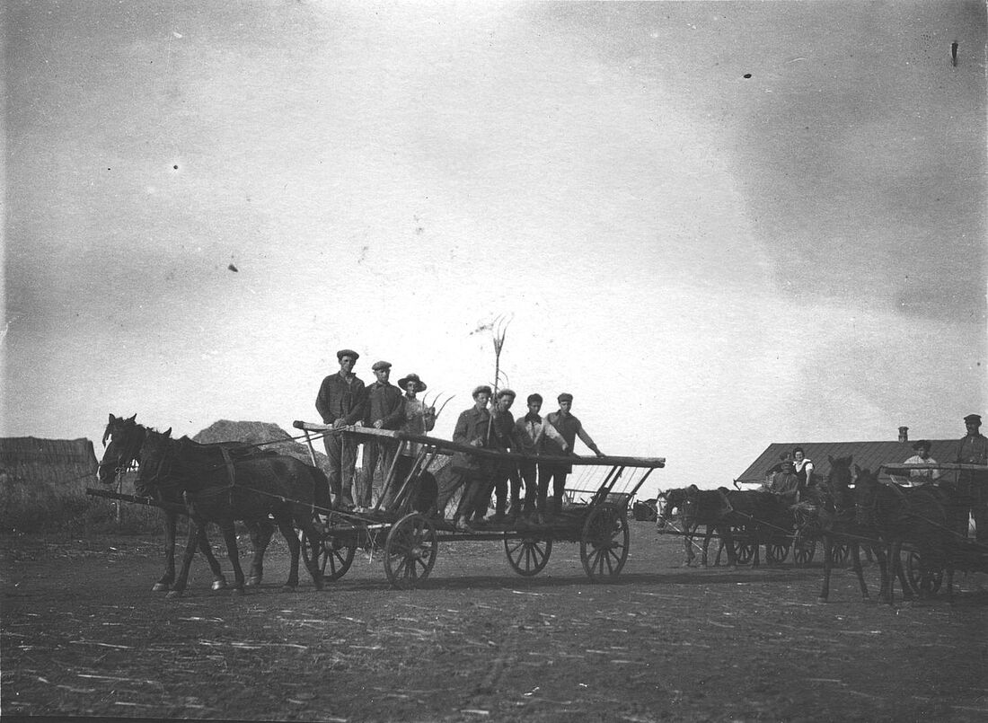Archive Photograph