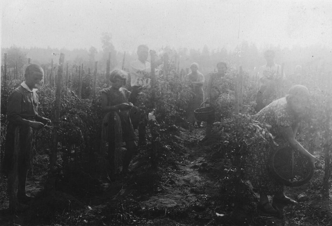 Archive Photograph