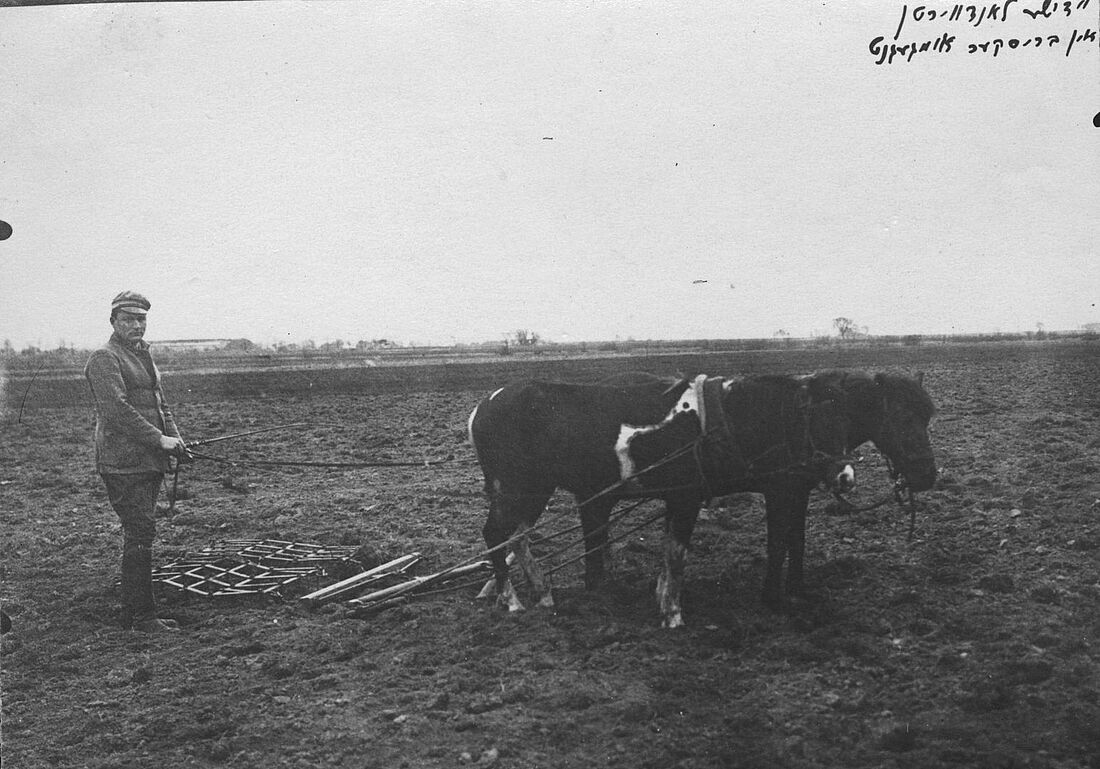 Archive Photograph