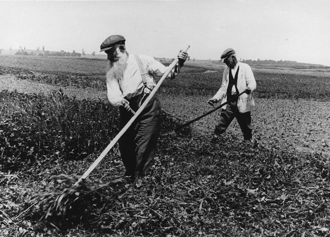 Archive Photograph