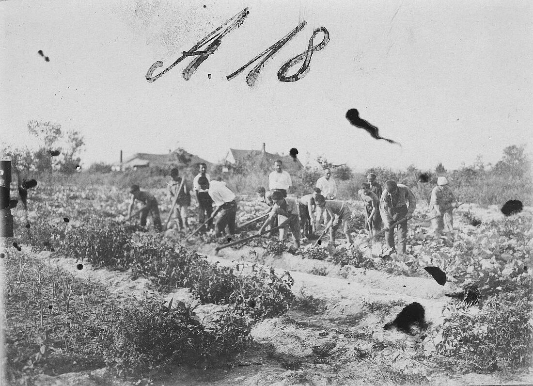 Archive Photograph