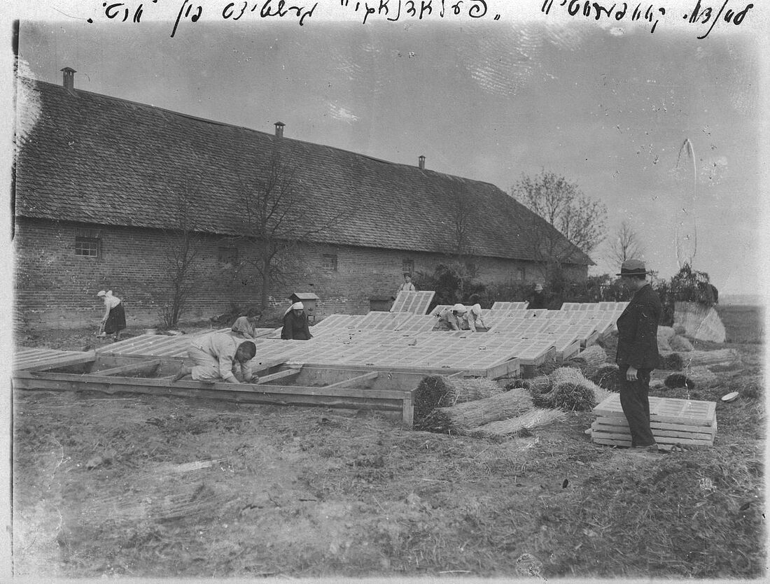 Archive Photograph