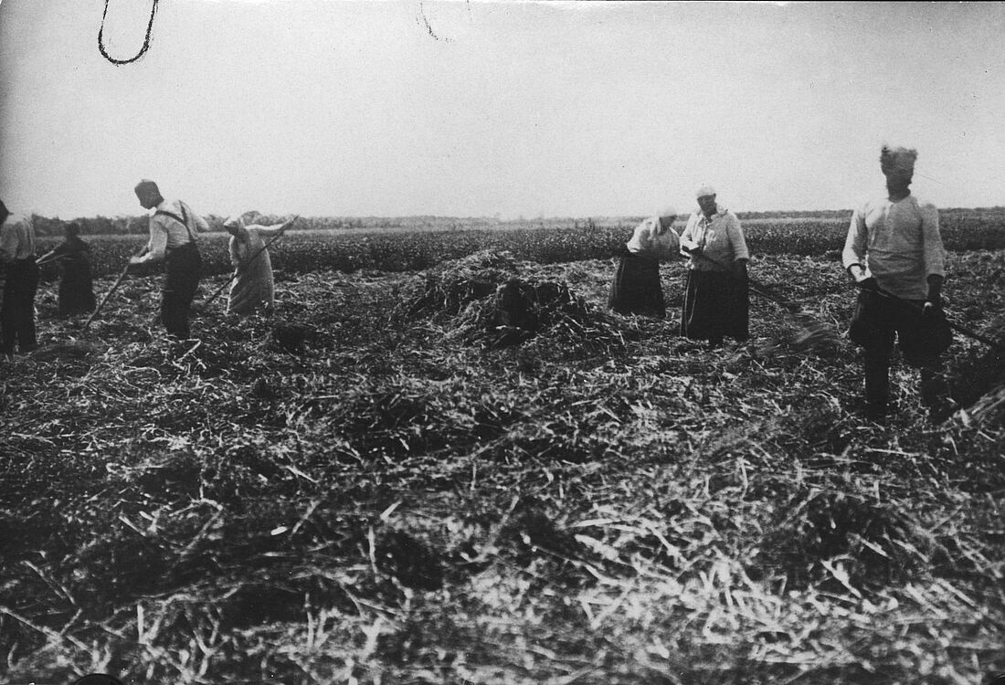 Archive Photograph