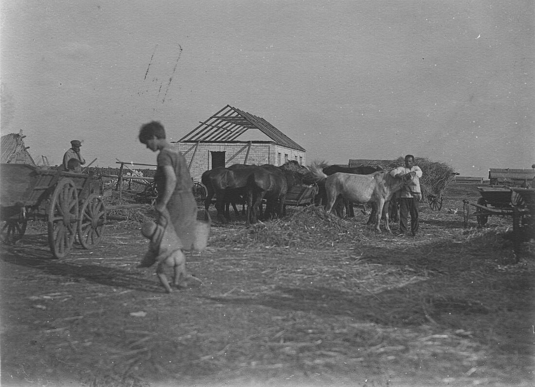 Archive Photograph