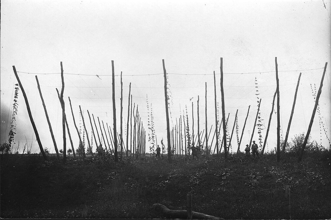 Archive Photograph