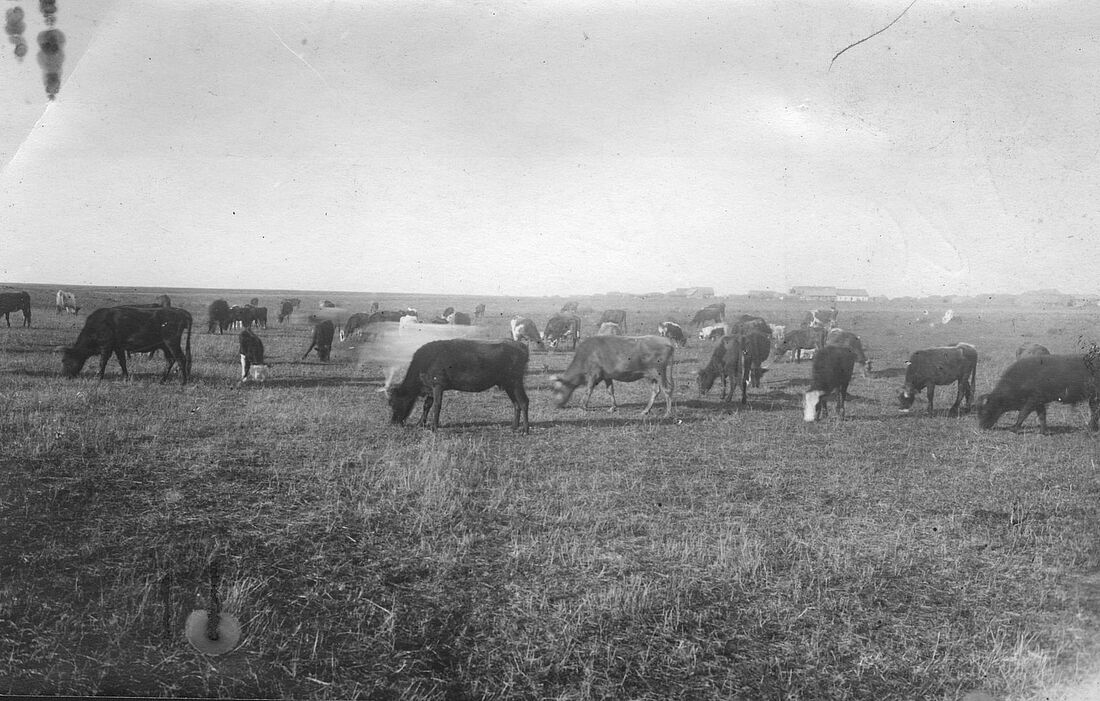 Archive Photograph