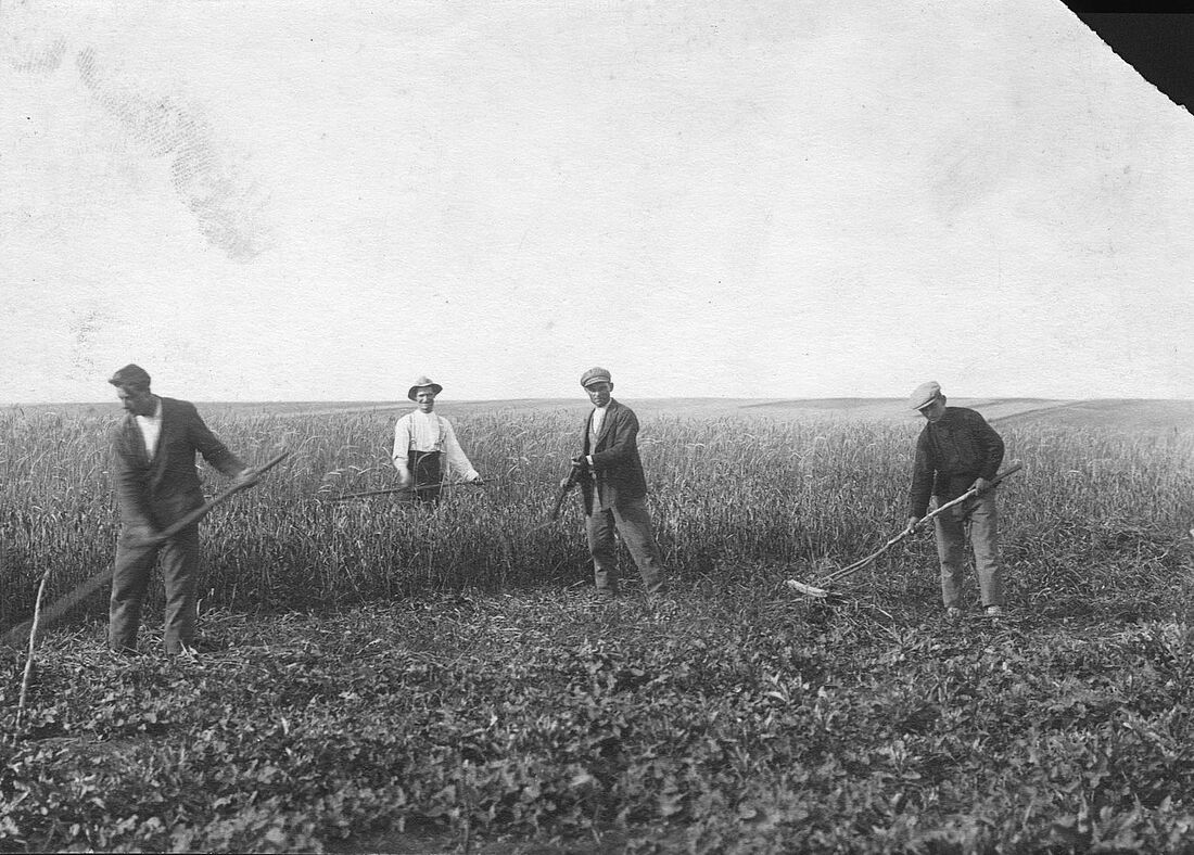 Archive Photograph