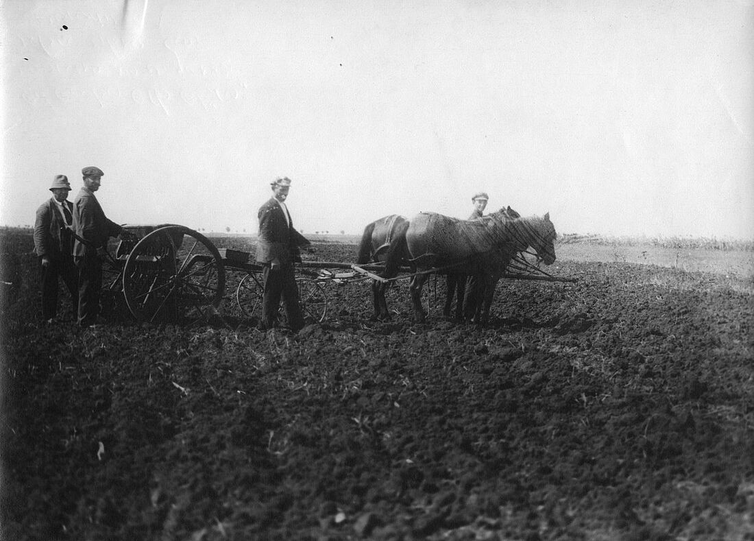 Archive Photograph